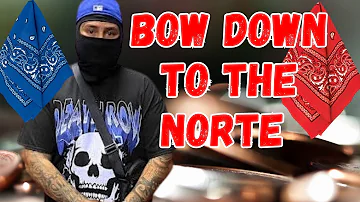 Surenos Bow Down To Nortenos | Must Watch 😳