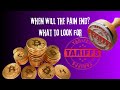 Short Term Pain for LONG TERM GAIN #crypto #bitcoin #xrp #digitalassets #investing #cryptocurrency