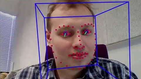 OpenFace tracking result