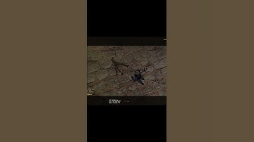 Knifed Then Fell to My Death #counterstrike #cs16 #gaming