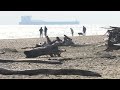 Freighter Watching at Whitefish Point!