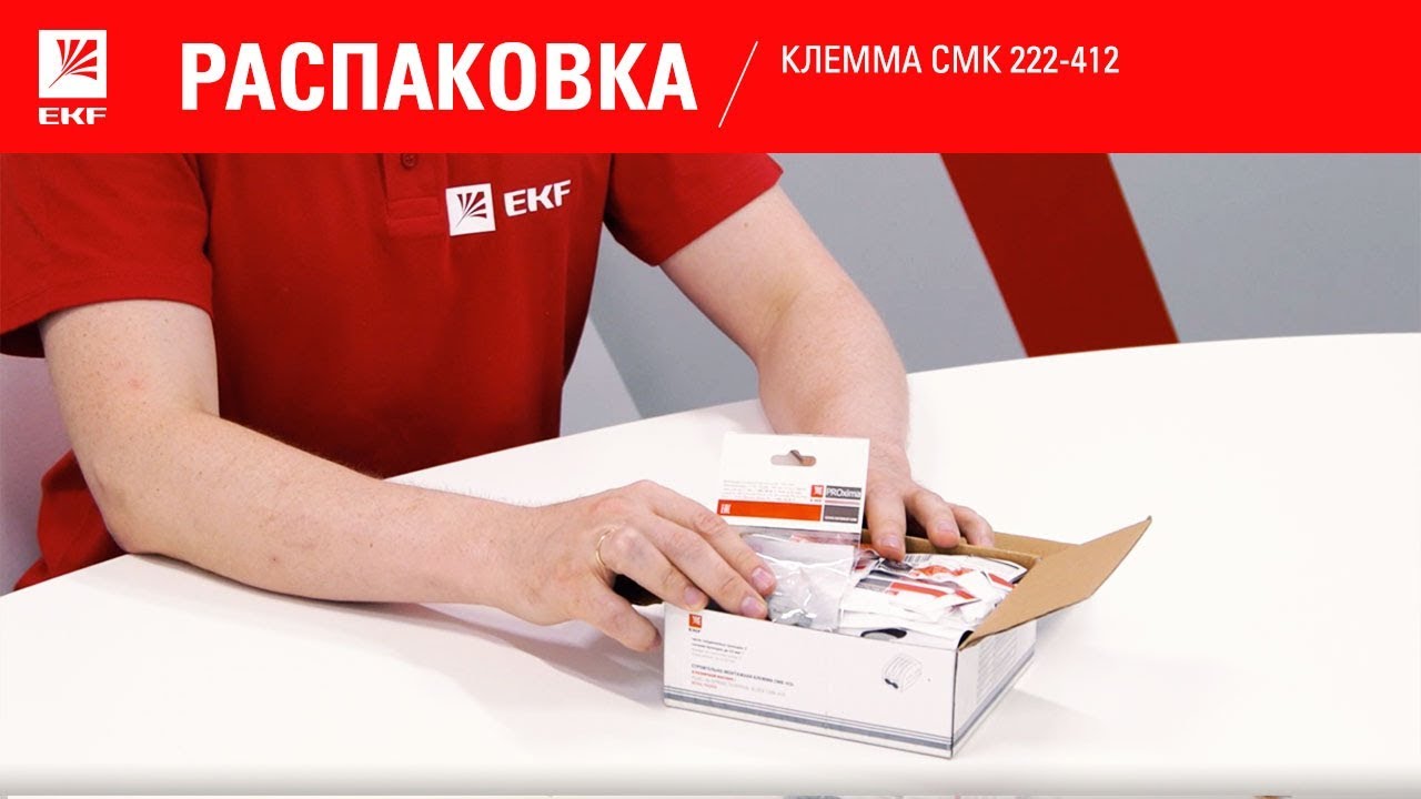 Распаковка Клемма СМК 222-412 с рычагом 2 отверстия 0,08-2,5мм2 (2шт ...