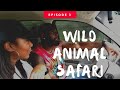 Wild Animal Safari: Pine Mountain, GA