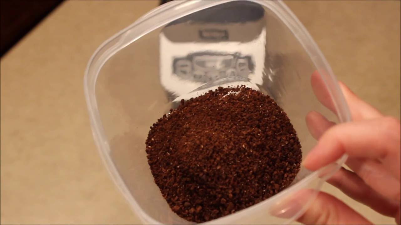 How to Grind Whole Coffee Beans in a Ninja Blender - Test Kitchen Tuesday