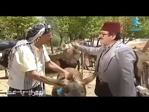 غوار الطوشة اشترى حمار بيحكي