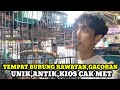 KIOS CAK MET!!!HARGA BURUNG TERBARU HARI INI DIPASAR BURUNG PRAMUKA KIOS CAK MET