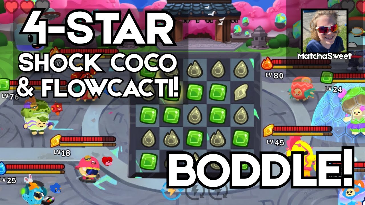 Shock Coco 4 star Shockcoco and Flowcacti!!!! I’m back with Boddle! #boddle - YouTube