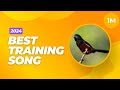 Best Training Song For Towa Towa, Curio, Bullfinch, Chest_Bellied _Seed_Finch In Guyana