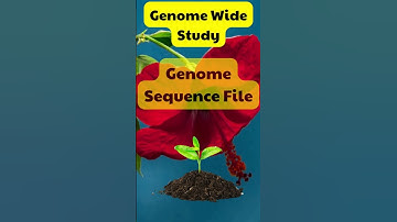 Genomic file #genome #foryou #shorts