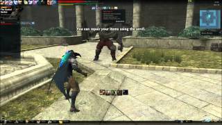 Vindictus Post-Revolution Kai Ingkells solo with break off