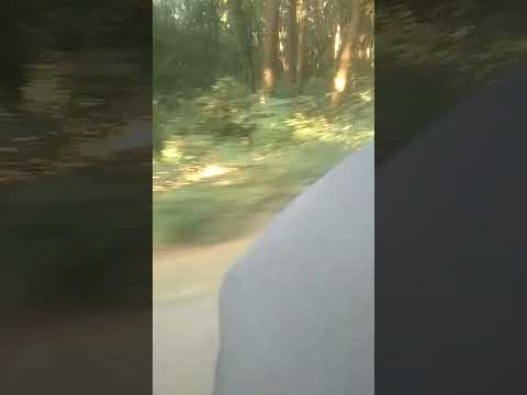 Julfo Ke Kaale Jaal Ye Zannat Se Ho Gaye Shorts Viral Uplode Shortsvedios