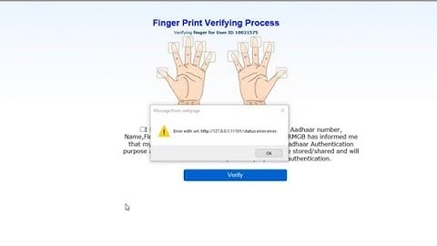 error with url http//127.0.0.1:11101/:status: error: error