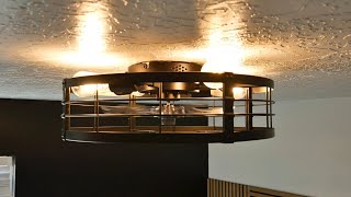 LEDIARY 20 Caged Ceiling Fan Review