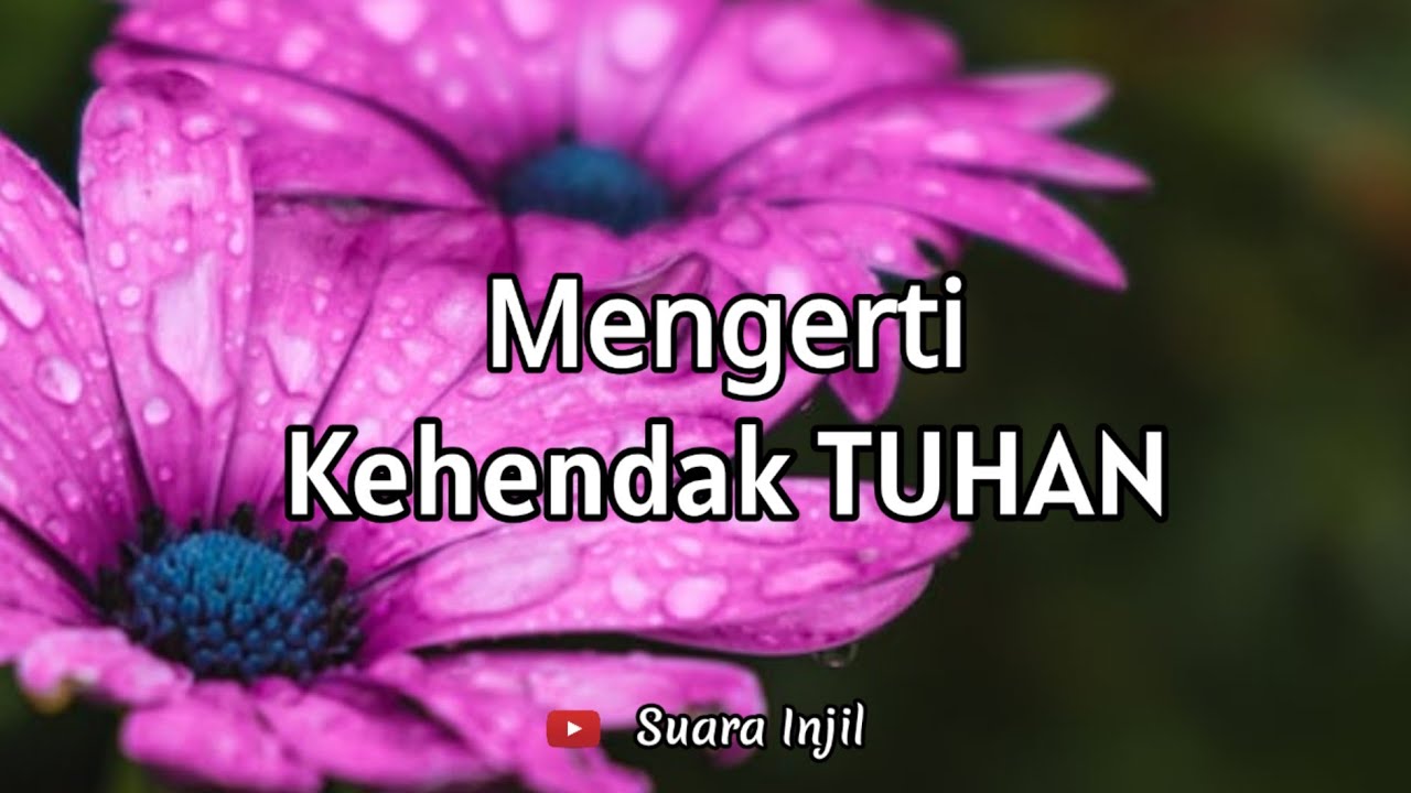 Mengerti Kehendak TUHAN. Renungan Dan Doa Pagi Suara Injil