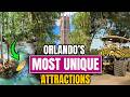10 Unique Things to Do in Orlando Beyond the Theme Parks
