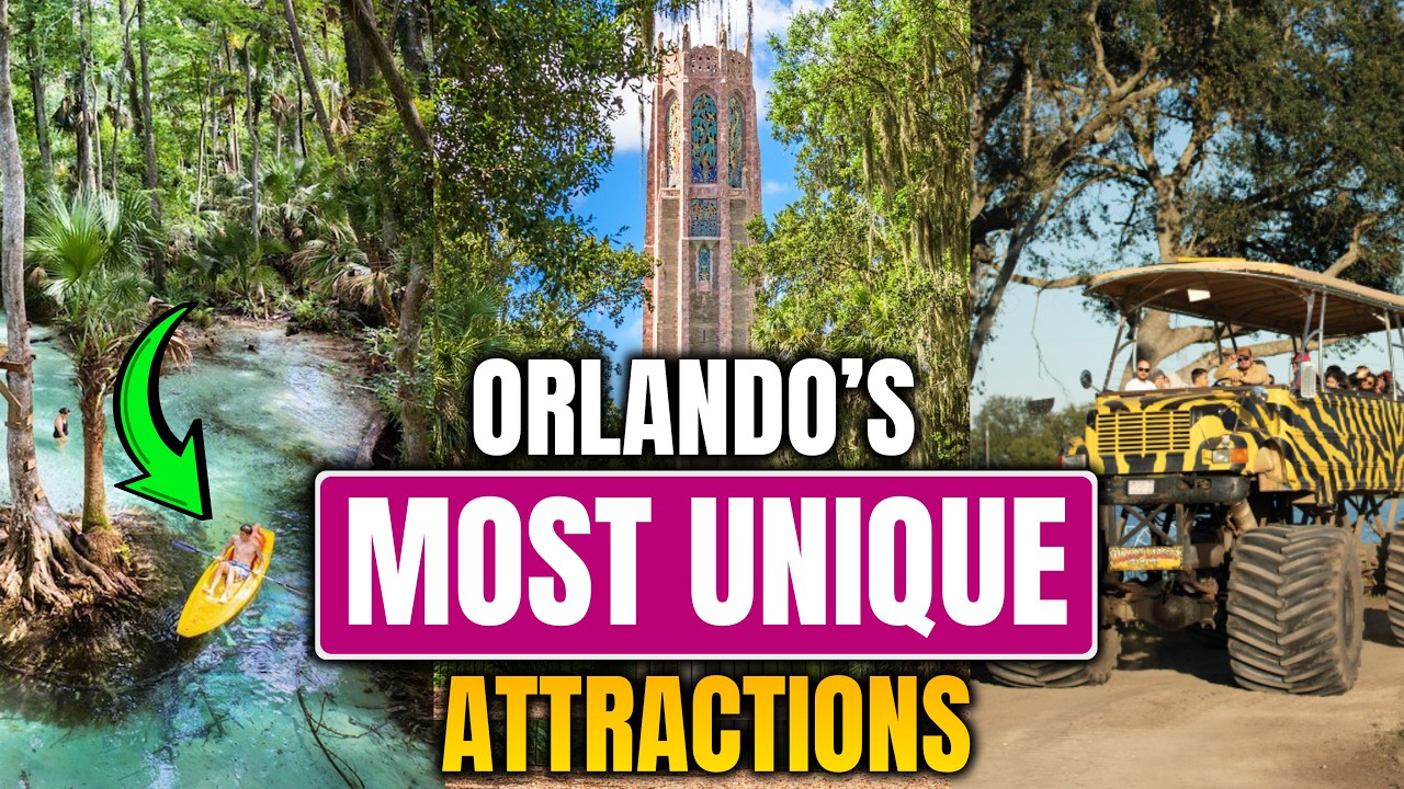 10 Unique Things to Do in Orlando Beyond the Theme Parks