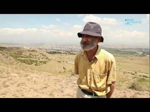 \"Breaking News\" #5 - ავთო მესხი