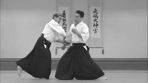 Nishio Aikido Ryu -  Shomenuchi Ikkyo ura