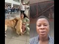 Airport Chaos Then The Dog Exposed The Bomb Goldenretriever Rescuedog Animal 