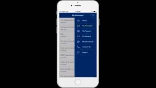 08 What is the Menu Bar screenshot 4