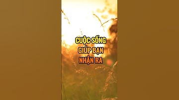 Cuộc sống giúp bạn nhận ra chân lý này.