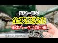 【素人DIY】全波整流化 車体ハーネス加工編 スーパーカブ50【直流】