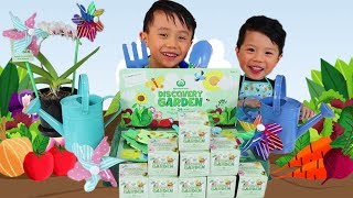 Wooworths Discovery Garden Collectables Lots Of Seedling Kits To Plant