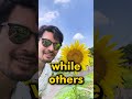 I Went To Japan's Biggest Sunflower Festival