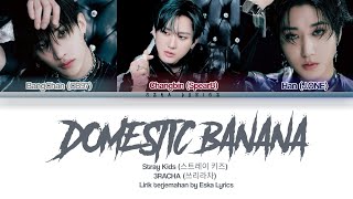 Download Lagu [LIRIK INDO] 3RACHA (쓰리라차) - DOMESTIC BANANA (국산 바나나) MP3