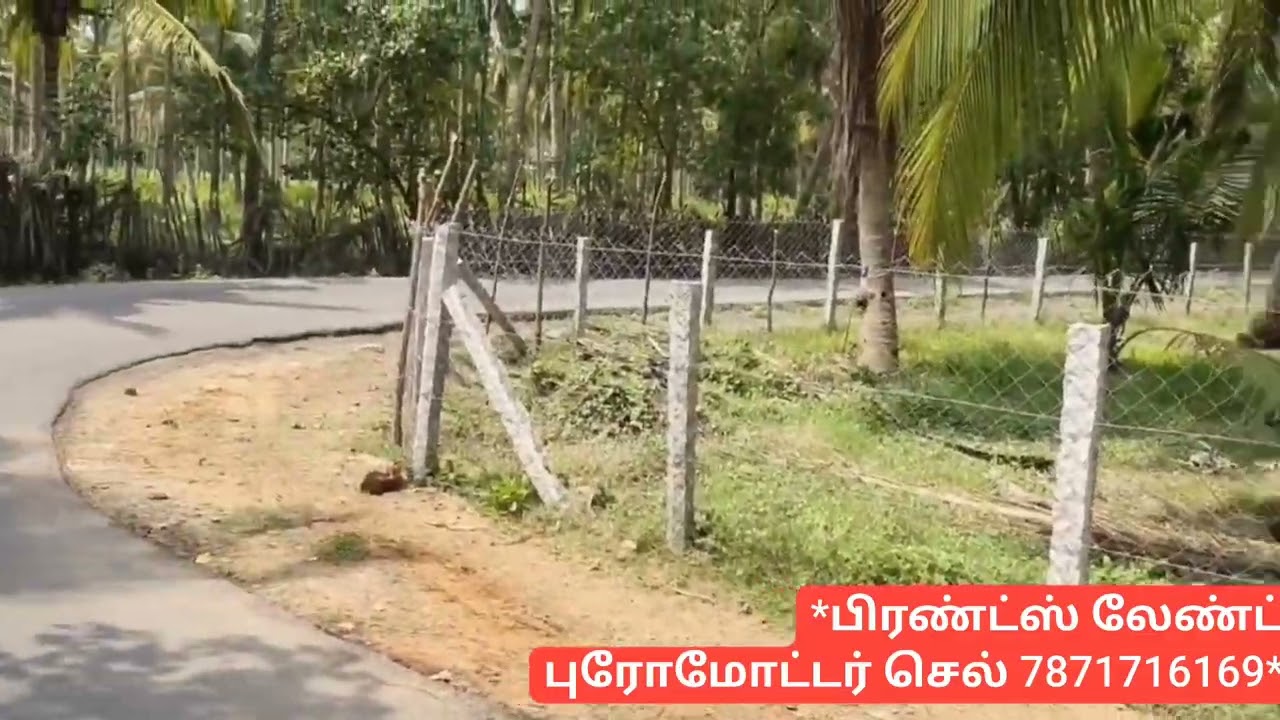 தூத்துக்குடி மாவட்டம் திருச்செந்தூர் ஆலந்தலை அருகில் 85 சென்ட் தோட்டம் விற்பனைக்கு உள்ளத