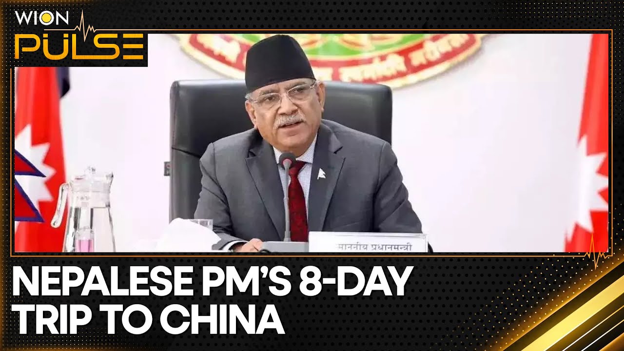 Xi Jinping: Nepal PM committed in promoting ties with China | Latest News | WION Pulse