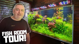 The Most BEAUTIFUL Rainbowfish Aquascape! Fish Room Tour!