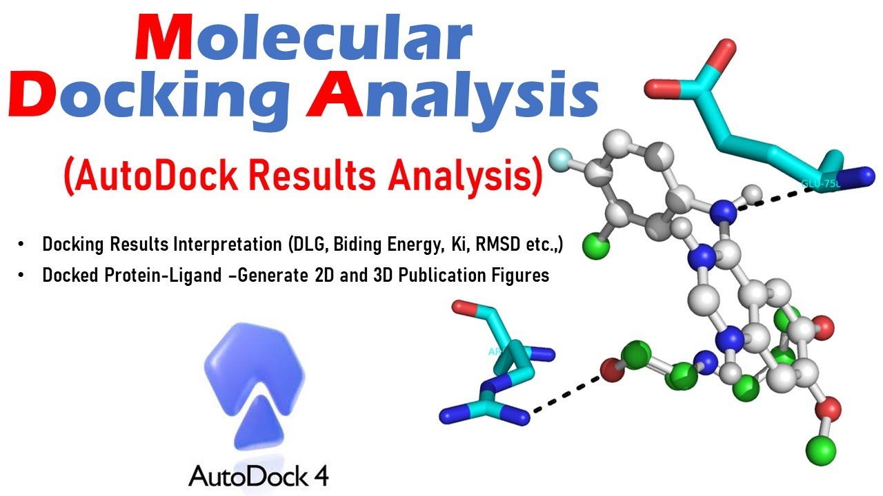 Molecular Docking Analysis | Autodock Results Analysis ...