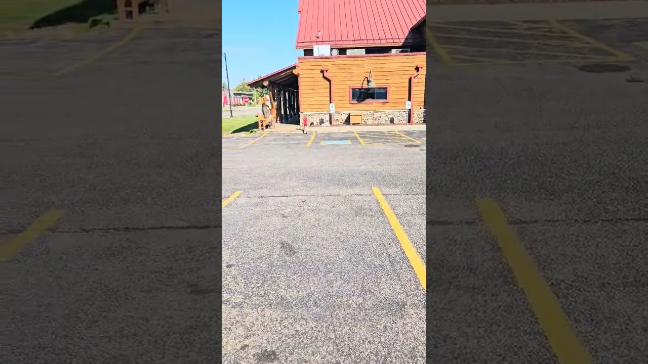 Skađi returns to Moosejaw Pizza!