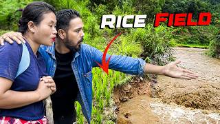 Our Rice Field Is Over In Flood | Deepsland