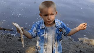 Little Boy Wants To Keep Fish For Himself