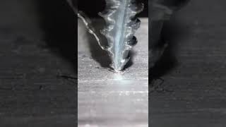 Square Drive Pan (fillister) Head Fine Thread Type 17 Pocket Screw Drilling into Aluminum Process