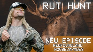 Rut Daniels Moose Hunt - Newfoundland Moosecapades
