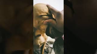 Download Lagu Good Morning Sisters! #pets #dogs #sisters #goodmorning MP3