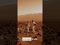 NASA's Apology Satellite: Apollo G #funny #aivideo #ai #reddit #jokes