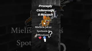 Przesądy , Ciekawostki O Myszach Ądy