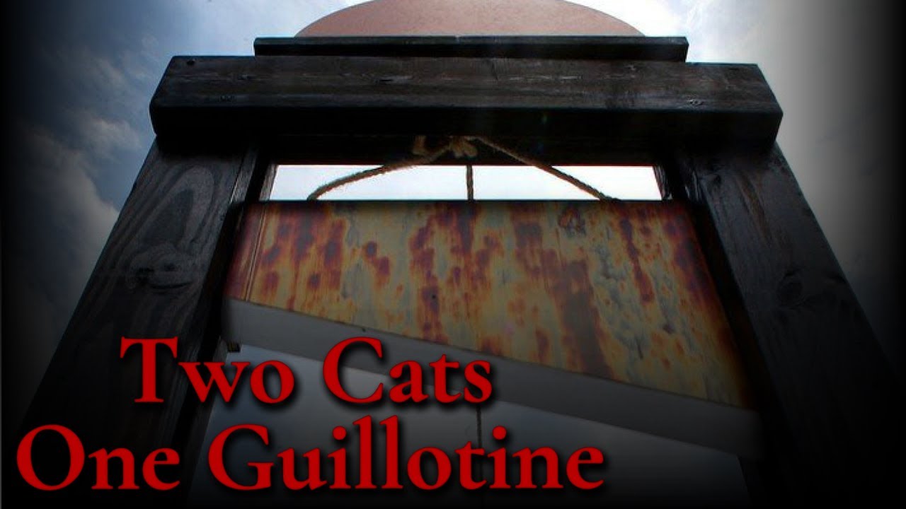 2 Cats 1 Guillotine Tragedy