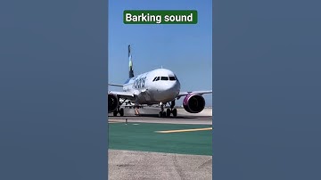 Barking sound in Airplane do u know about it ?#youtubeshorts #shorts