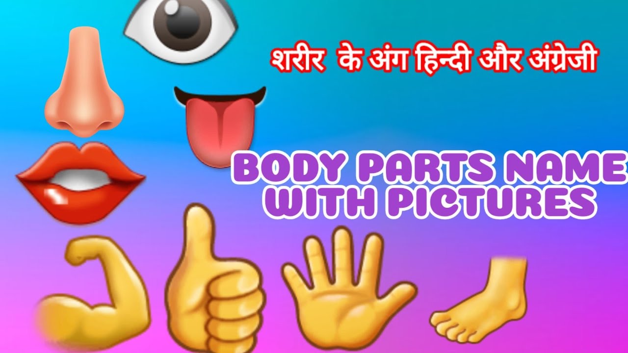 Learn Parts Of Body Name parts Of Body Name In English YouTube part-1-learn-parts-of-body-name-parts-of-body-name-in-english