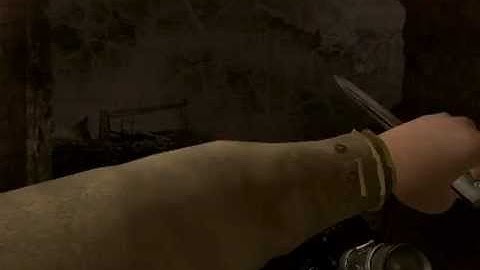 CoD2 B2F knifing animation preview