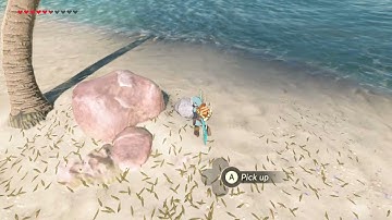 [DAY 279] of finding one korok seed everyday until Botw2 comes out