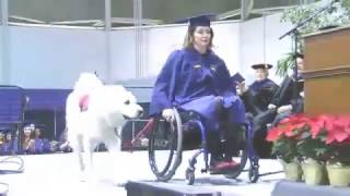 Service dog receives degree at LSU graduation.