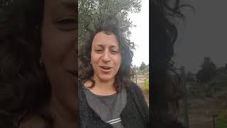 האם להכריח ילדים לאכול אוכל טבעוני?