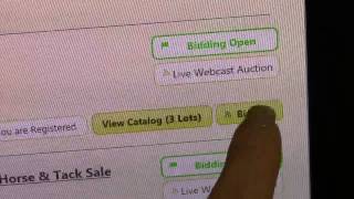 Carolina Horse Company Online Bidding Tutorial