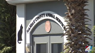 Nassau County Animal Services puts volunteer program on hold after some spoke out against conditions